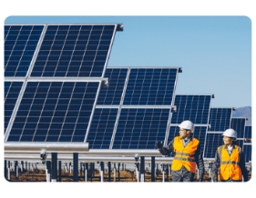 Company actively participates in the 