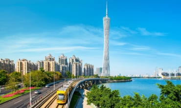 专业技术团队