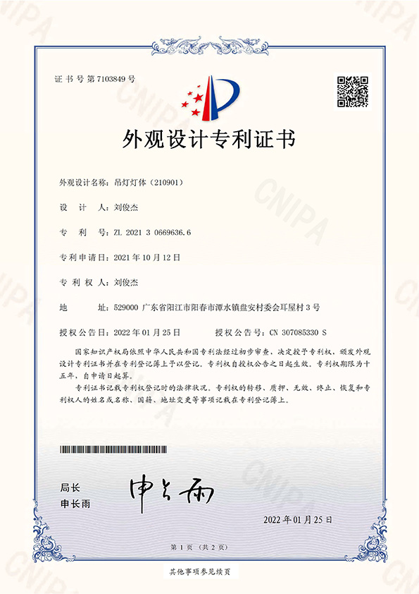 外观专利 (1)