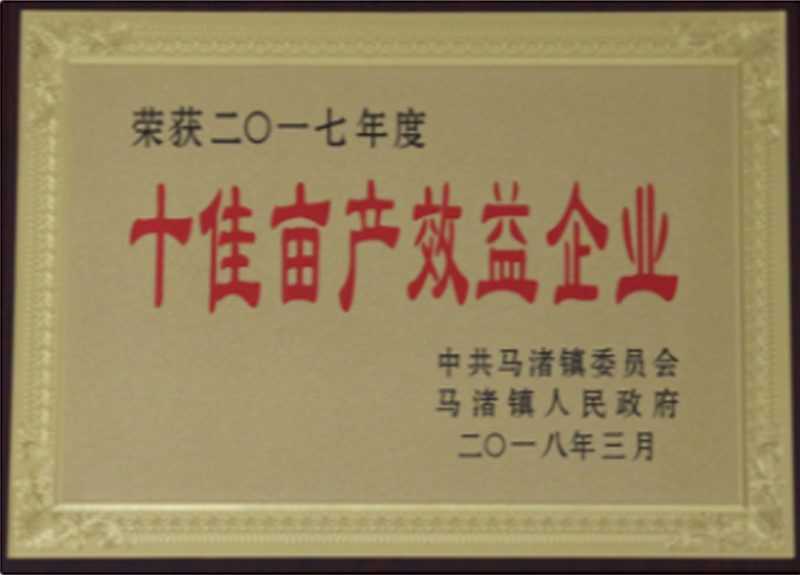 荣誉证书