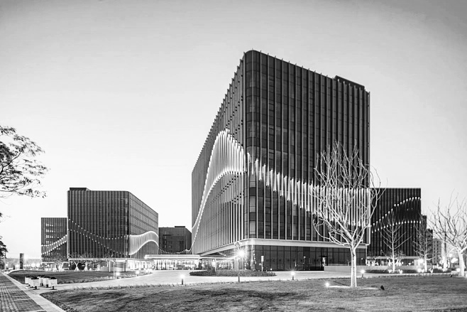图片展示