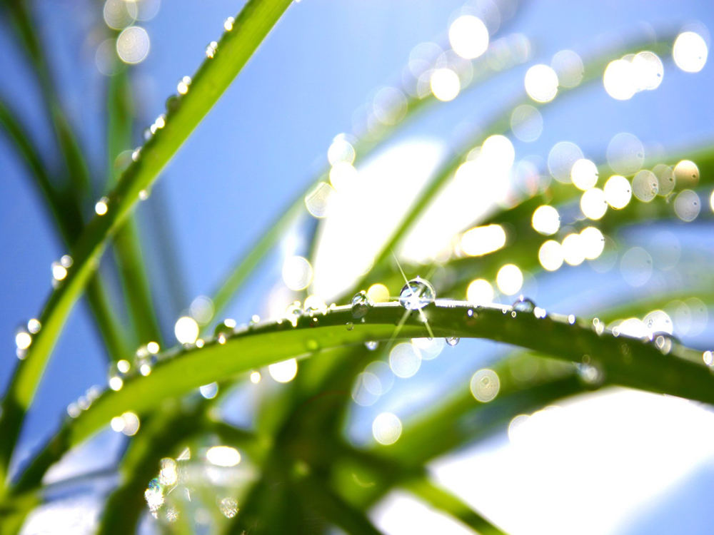 携手植绿，增添新色，共建生态宜居城市