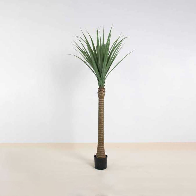 一帆风顺 A