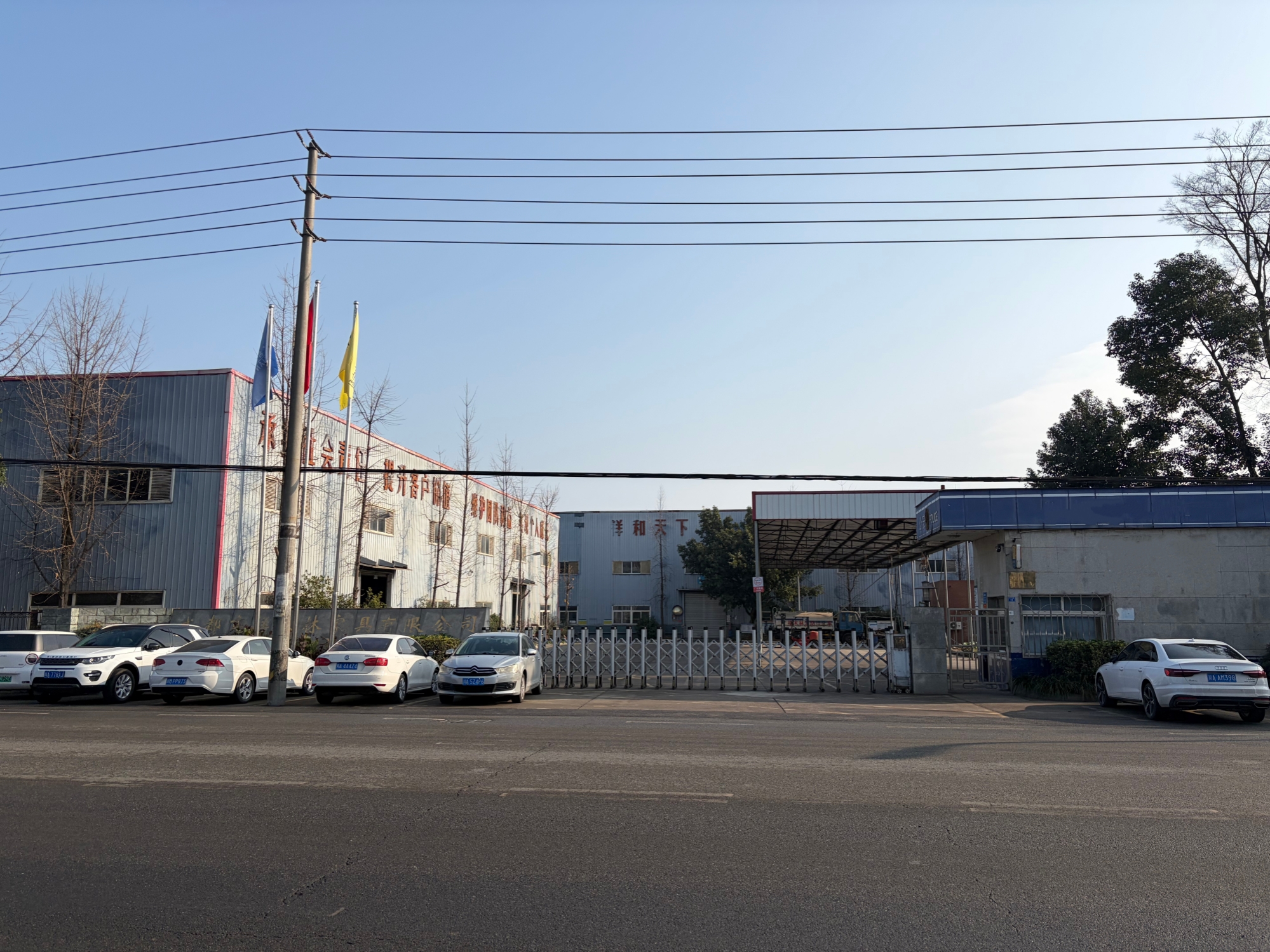 图片展示