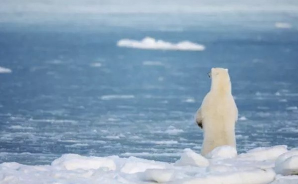 Ruijing ice snow - ice snow public welfare activity invites you to join