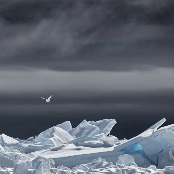 Ice and snow Gallery: creating for the public interest of ice and snow