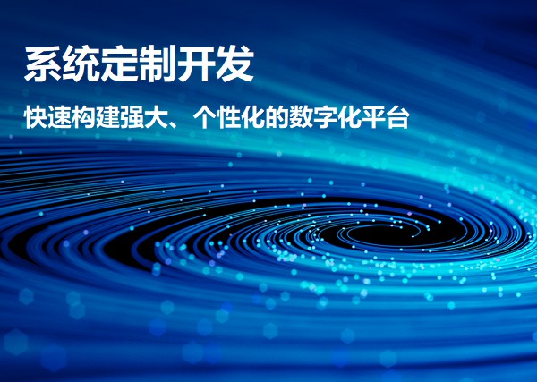 系统定制开发