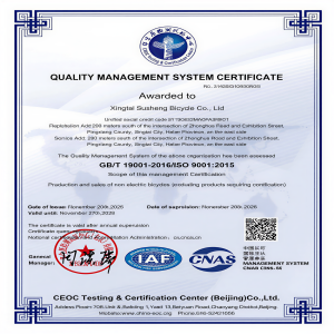 ISO-9001