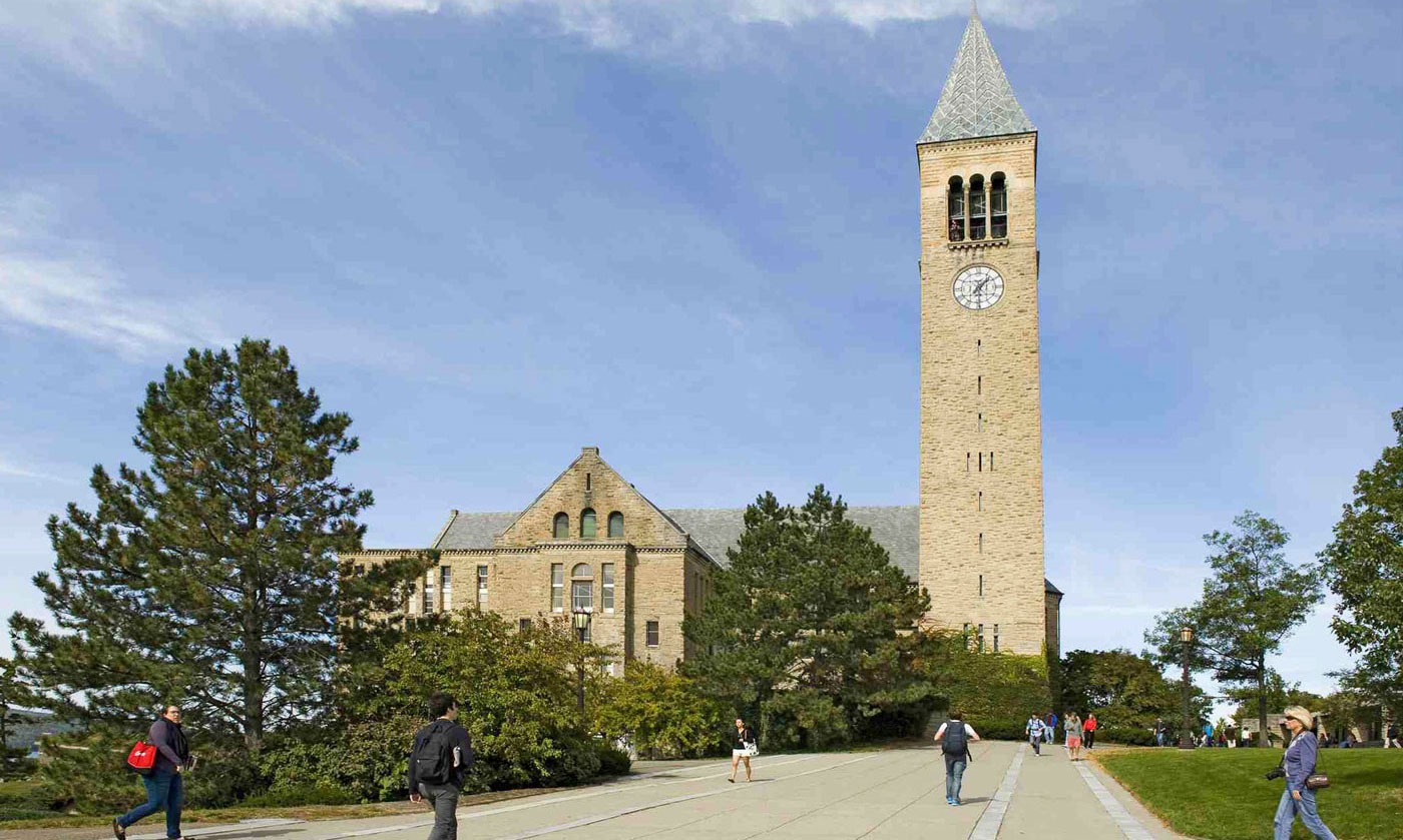 康奈尔大学