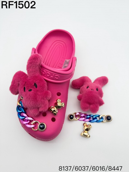 Hole Shoe Accessories