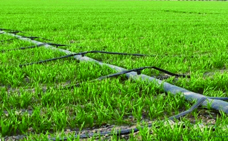 4462133d-6a08-468b-813a-dea3ac2bb9bd