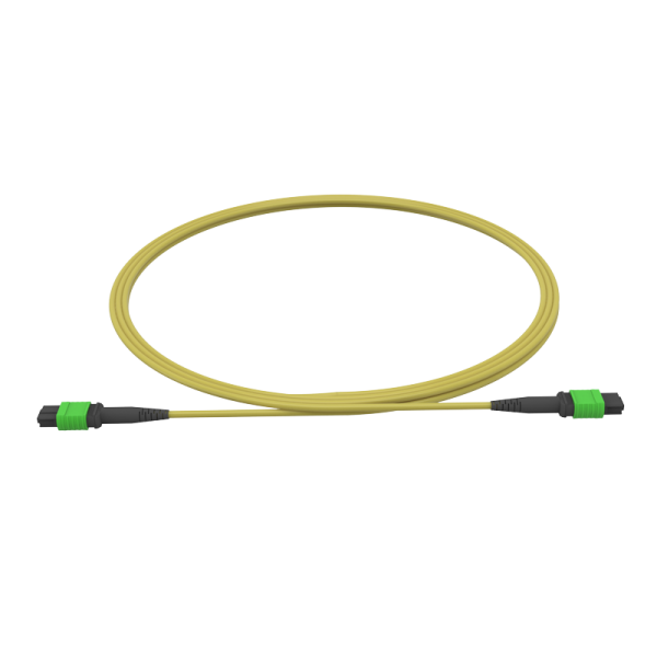 16F MTP®/MPO to MTP®/MPO Patch Cord