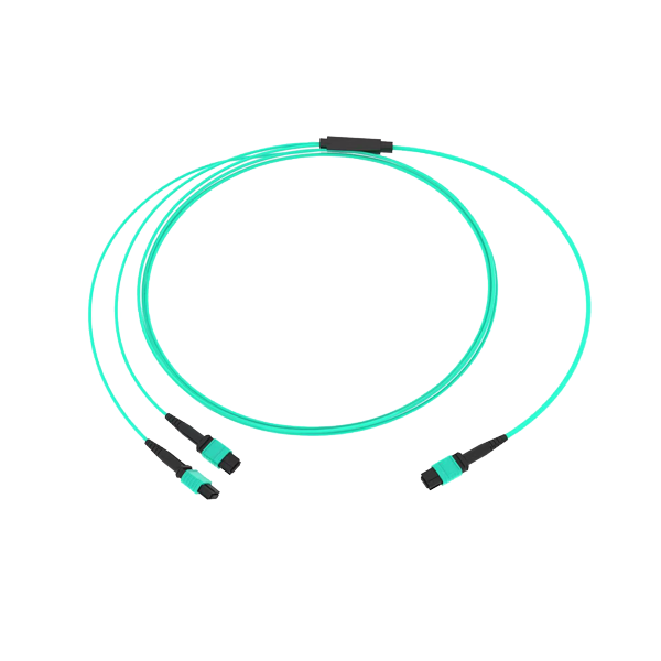 8‑Fiber MTP®‑12 to 2×MTP®‑4 Breakout Patch Cord