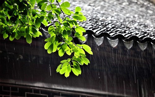 梅雨季别墅地下室除湿防潮指南 | 跟潮湿说拜拜