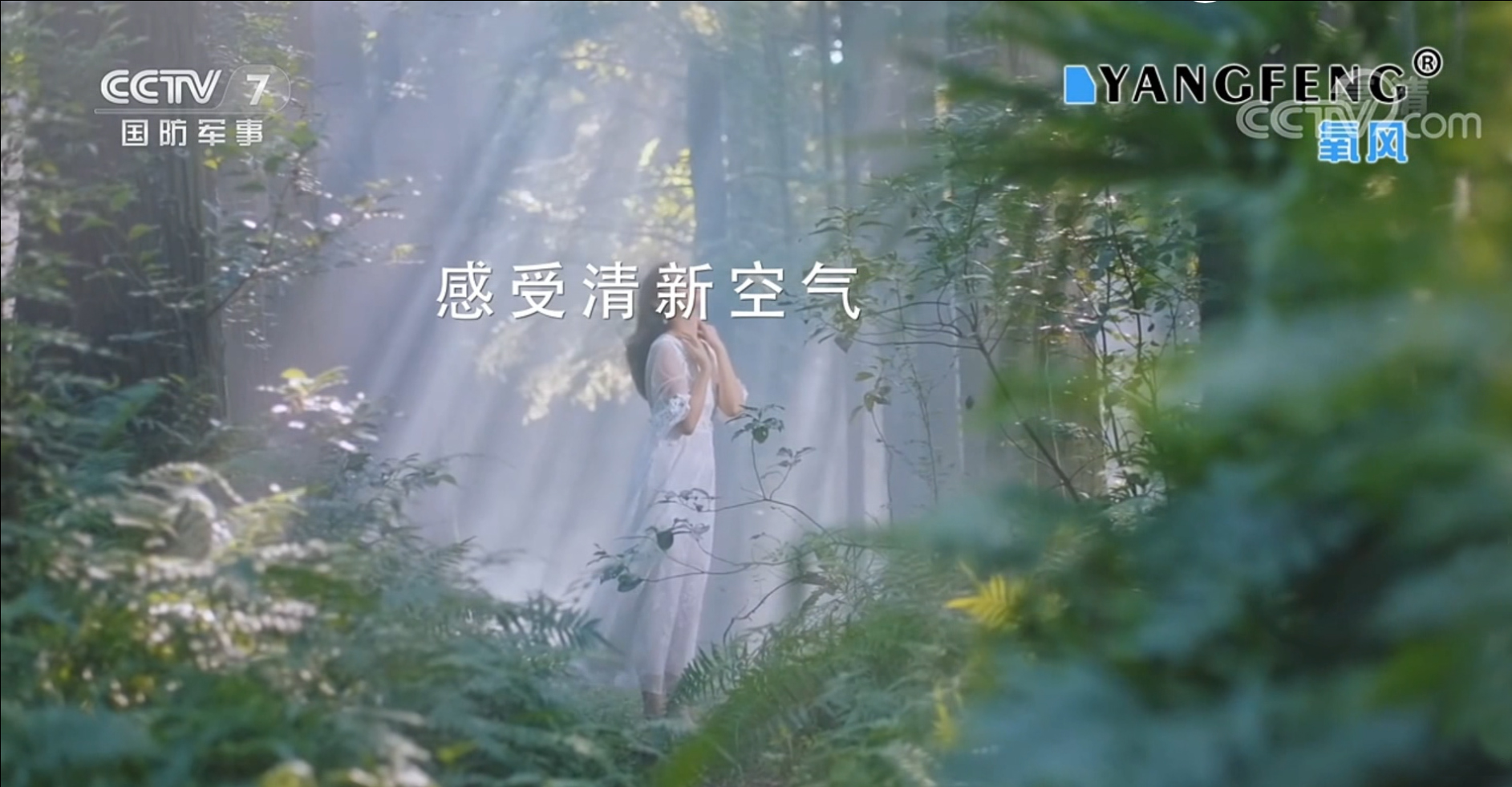 瞩目见证，氧风新风荣登央视广告