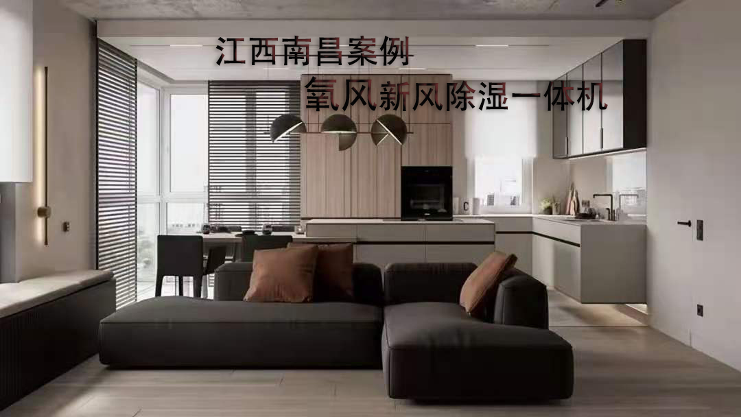 装修好便发霉，氧风新风除湿一体机紧急救场