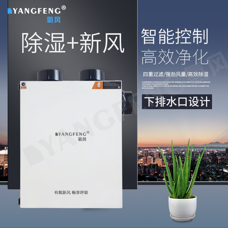 氧风家用别墅地下室壁挂式吊顶新风除湿一体机系统抽湿除湿防潮