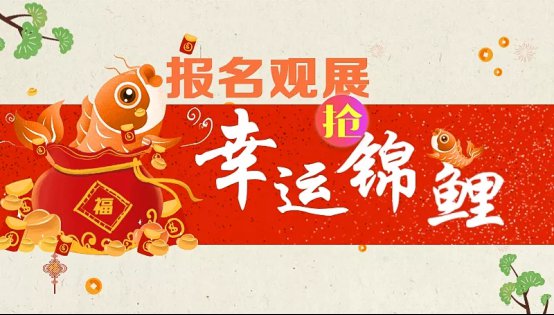 QQ图片20190121143234
