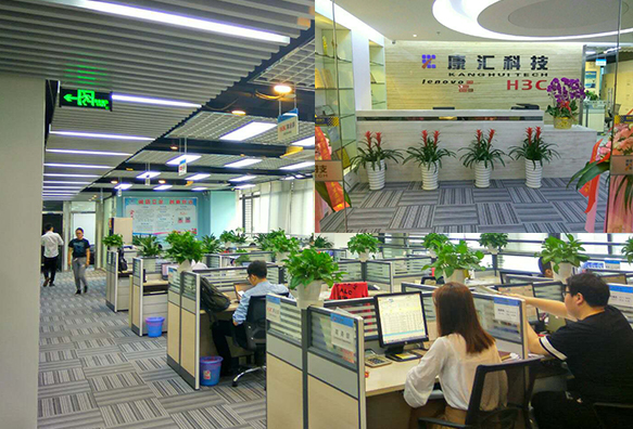 图片展示