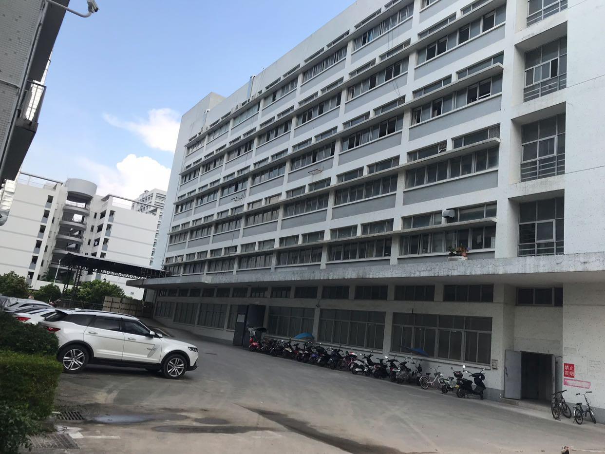 图片展示