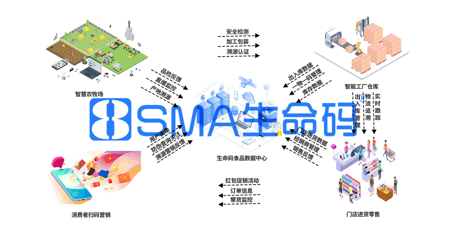图片展示