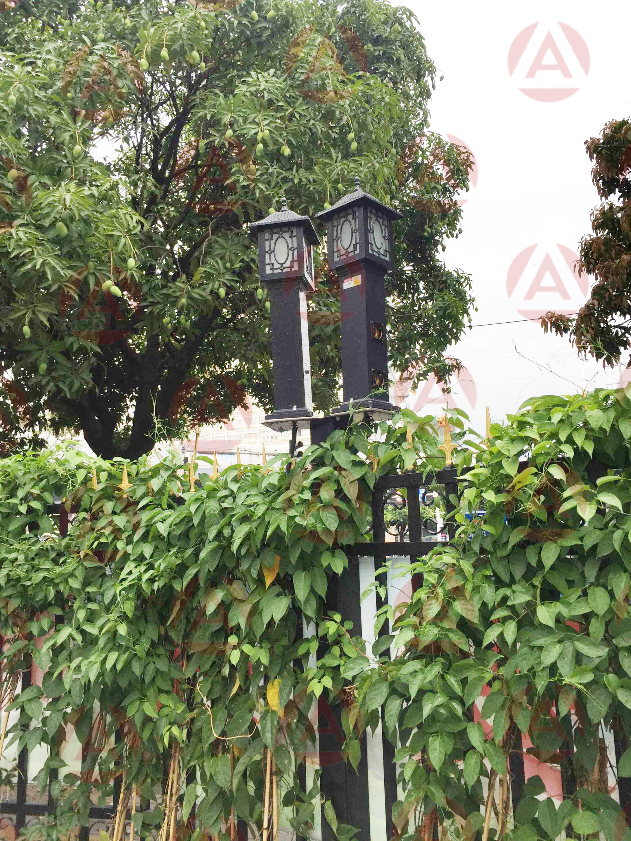 Case of Laser Intrusion Detector in Fujian