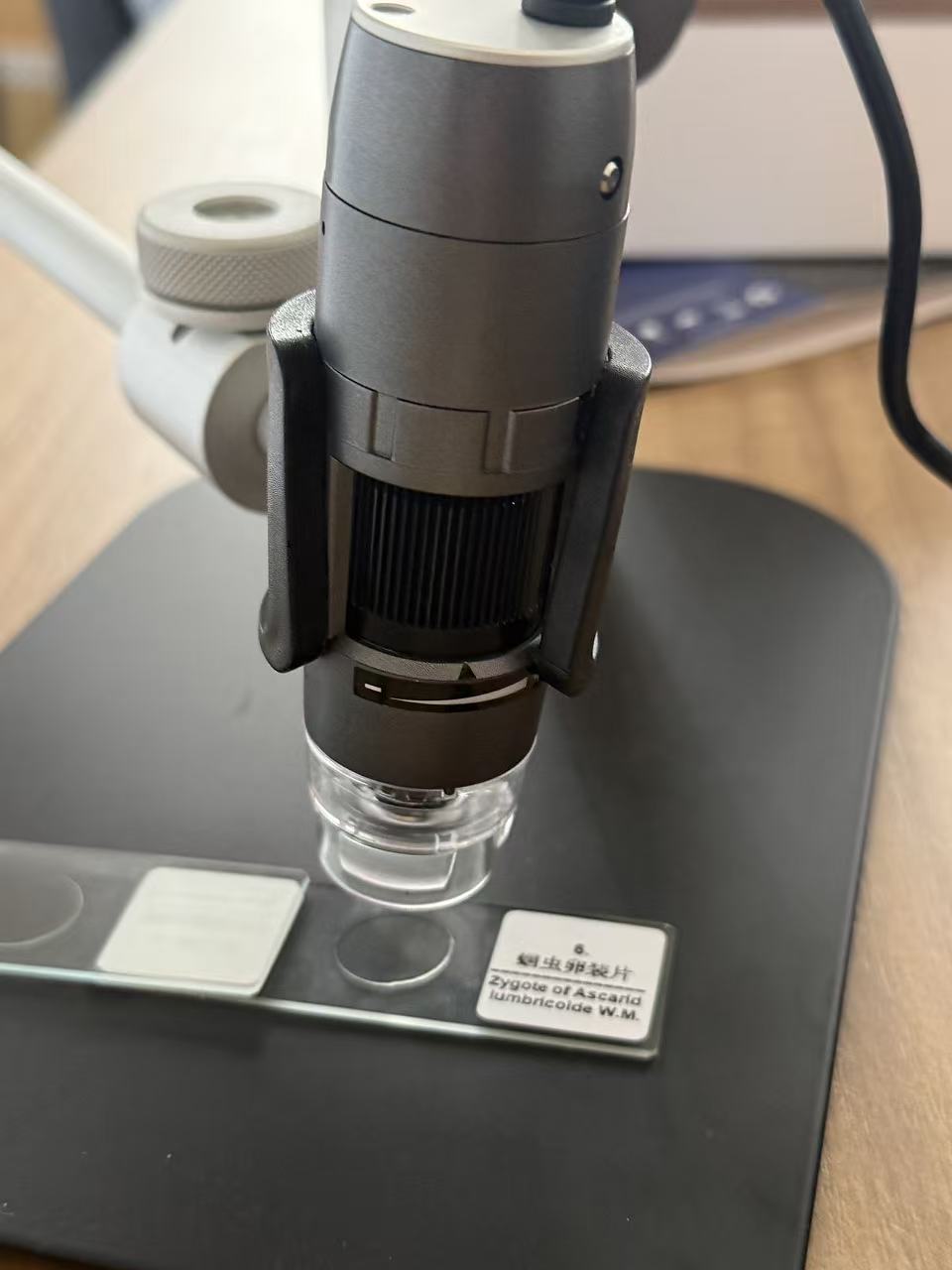 Dino-Lite AM4515T5 显微镜｜500-550倍高清观测，解锁微观世界新视角