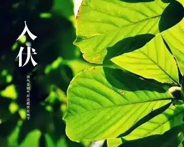 中膳承包的饭堂如何保障饮食安全?