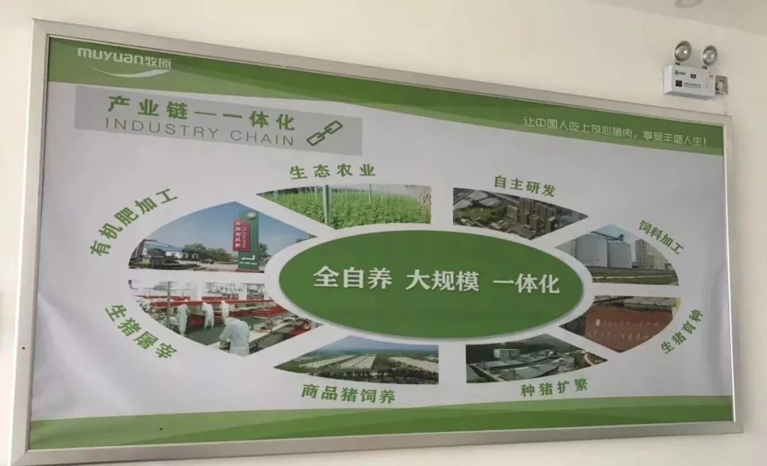 中膳团餐员工饭堂承包