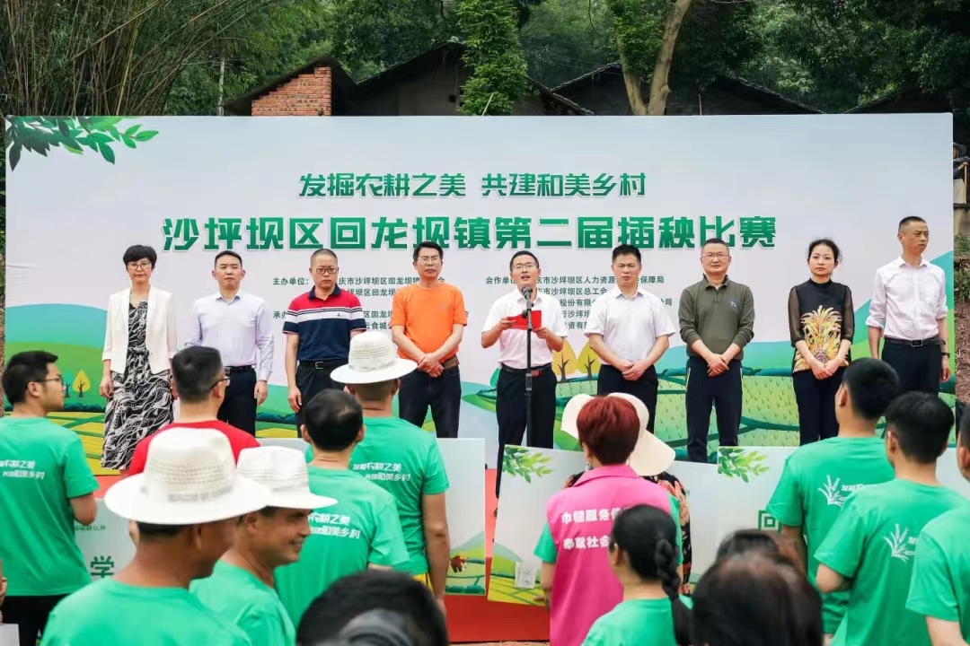 中膳团餐产业园助力回龙坝插秧比赛