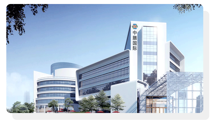 图片展示