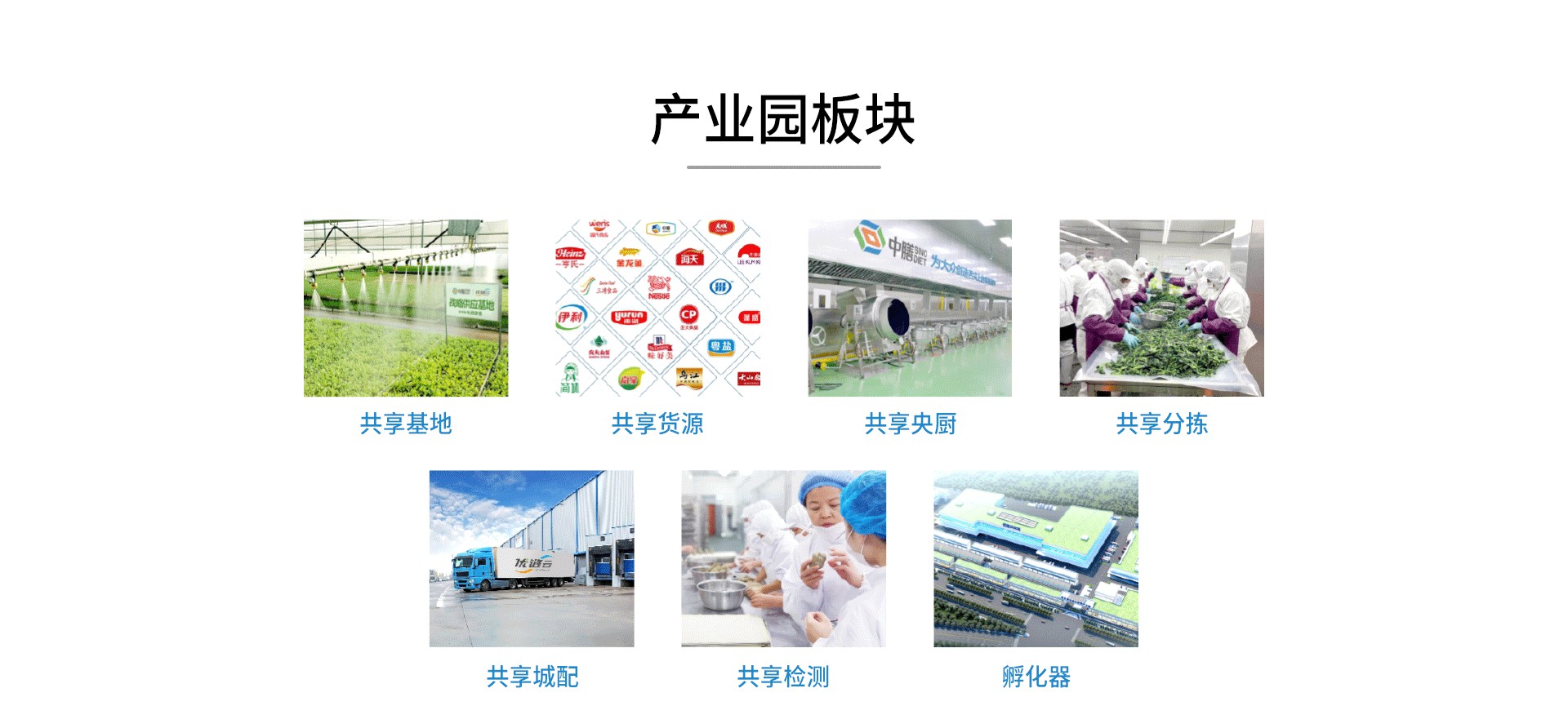 图片展示