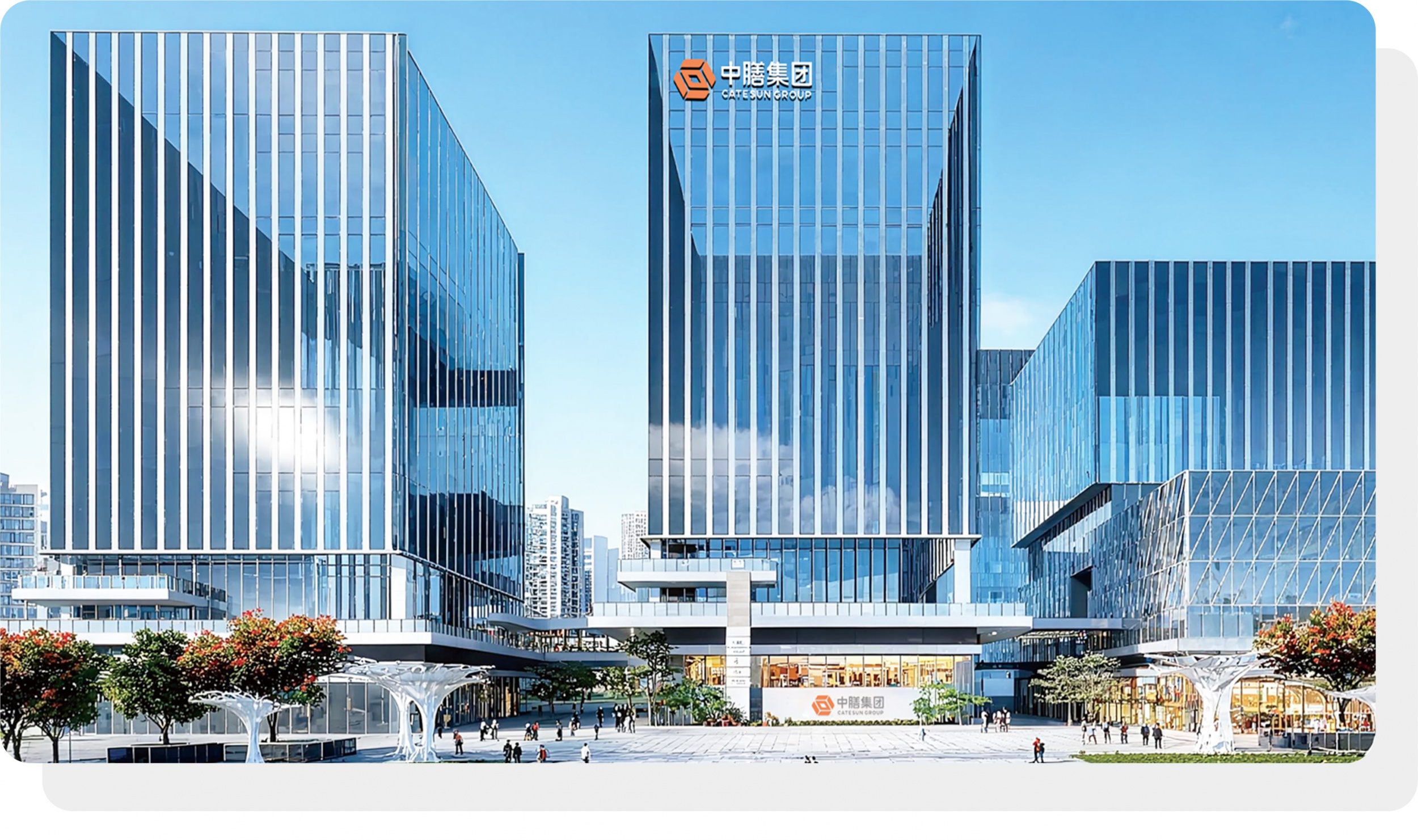 图片展示