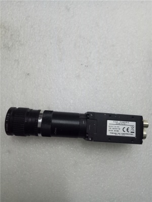 BA-1X-163RC CS8420I TELI original camera