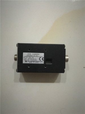 CS3821D-01 TELI original camera