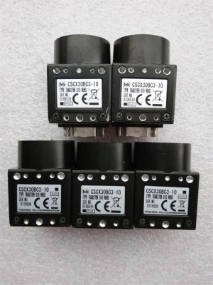 CSCX30BC3-10 industrial camera New and Origianl