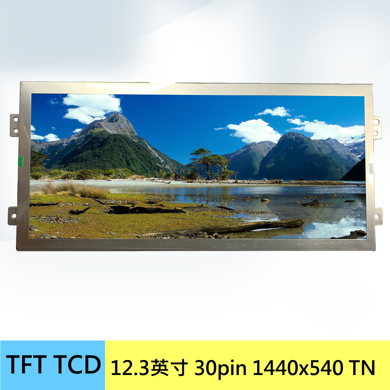 CLAA123PA01 CW CPT 12.3inch LCD Display