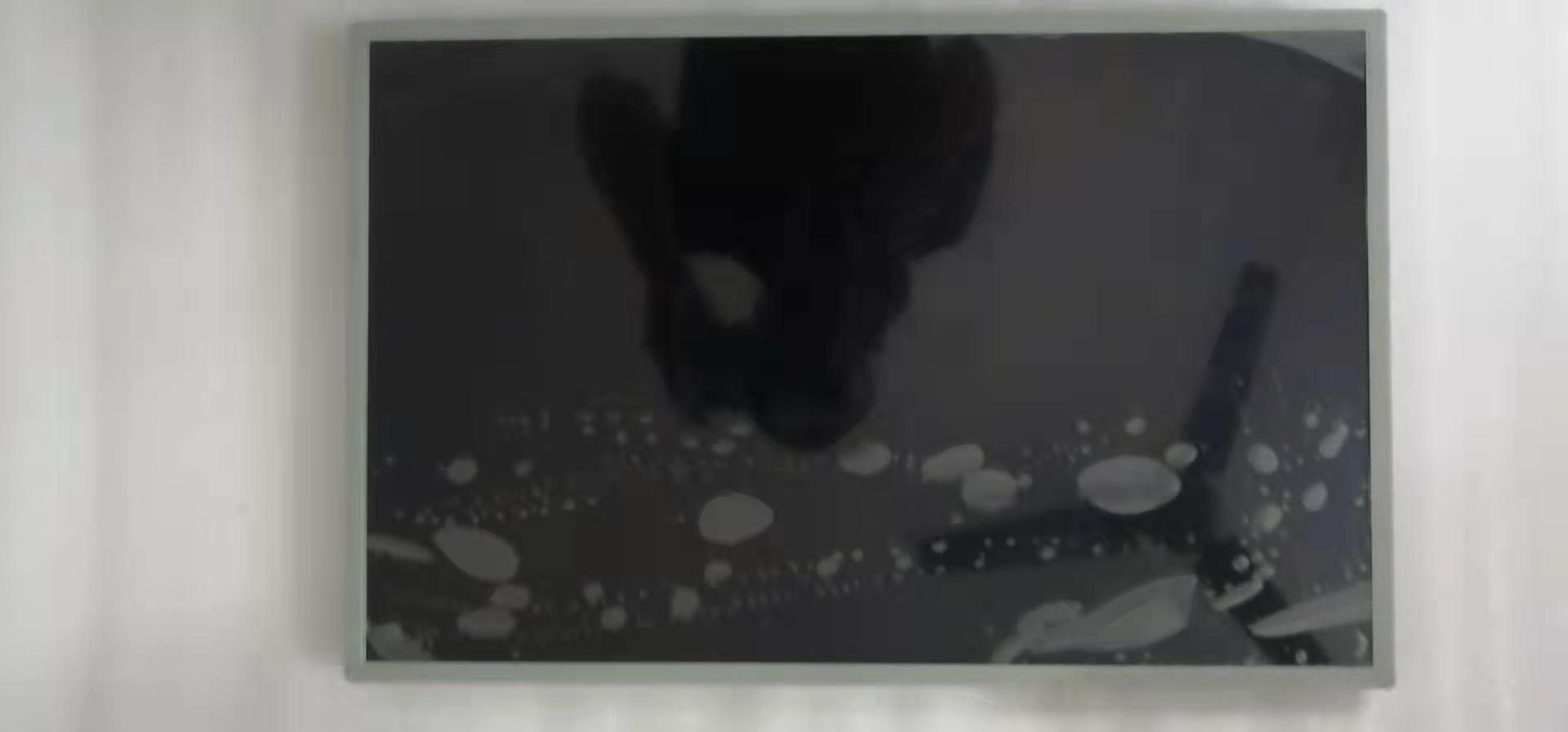 LM220WE4-SLB1 LCD screen