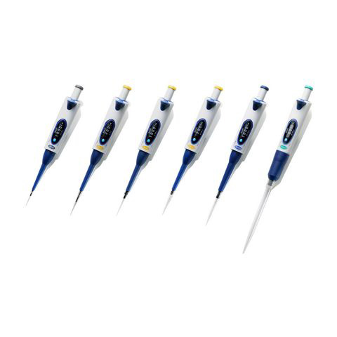 拉斯维加斯网站3499