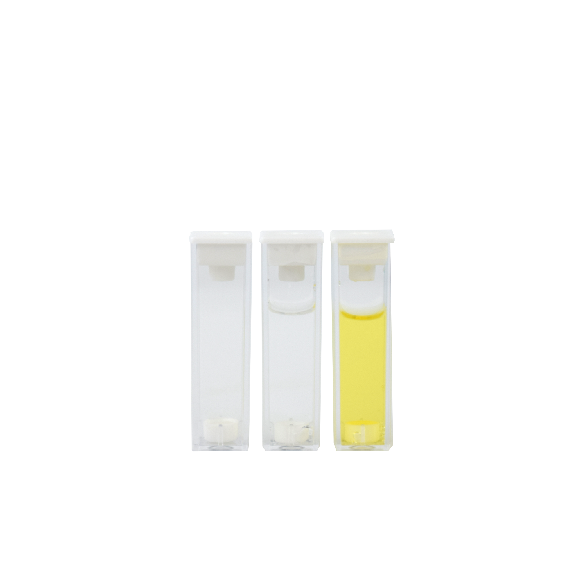 拉斯维加斯网站3499