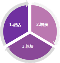 红卡的药效机理