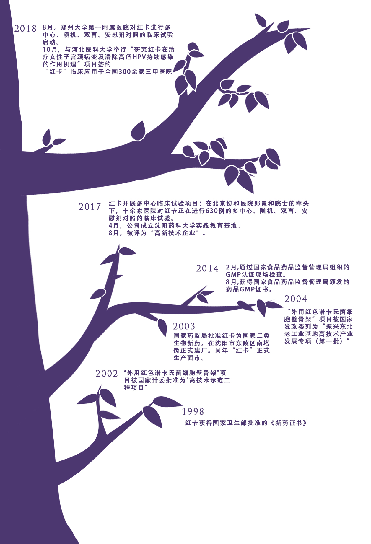 图片展示
