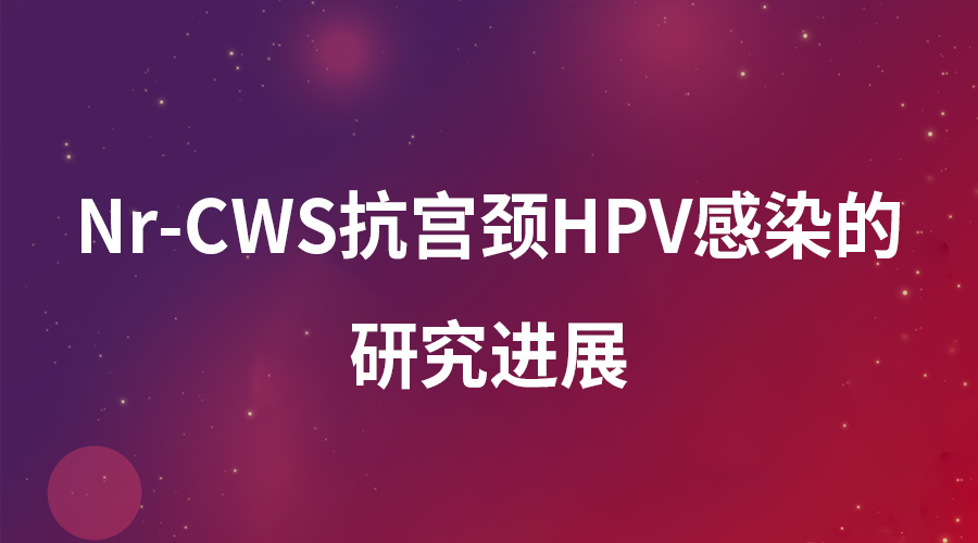 Nr-CWS抗宫颈HPV感染的研究进展
