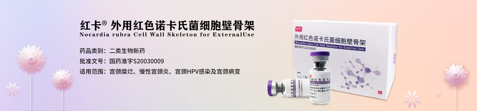 图片展示
