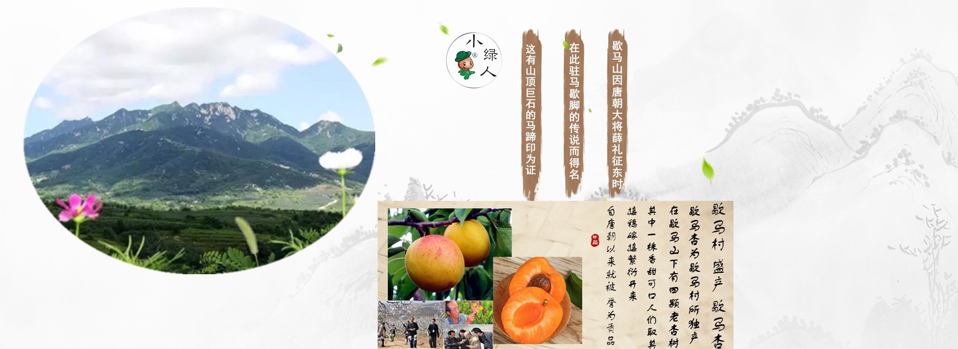 图片展示