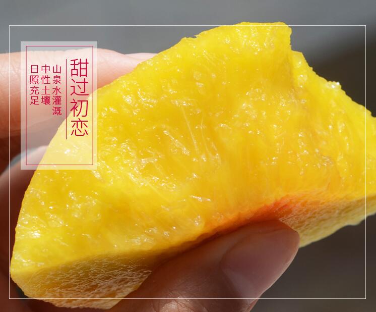 预售中！歇马村特产“歇马蜜桃”辽宁省内6斤包邮口感香甜如蜜精品包装