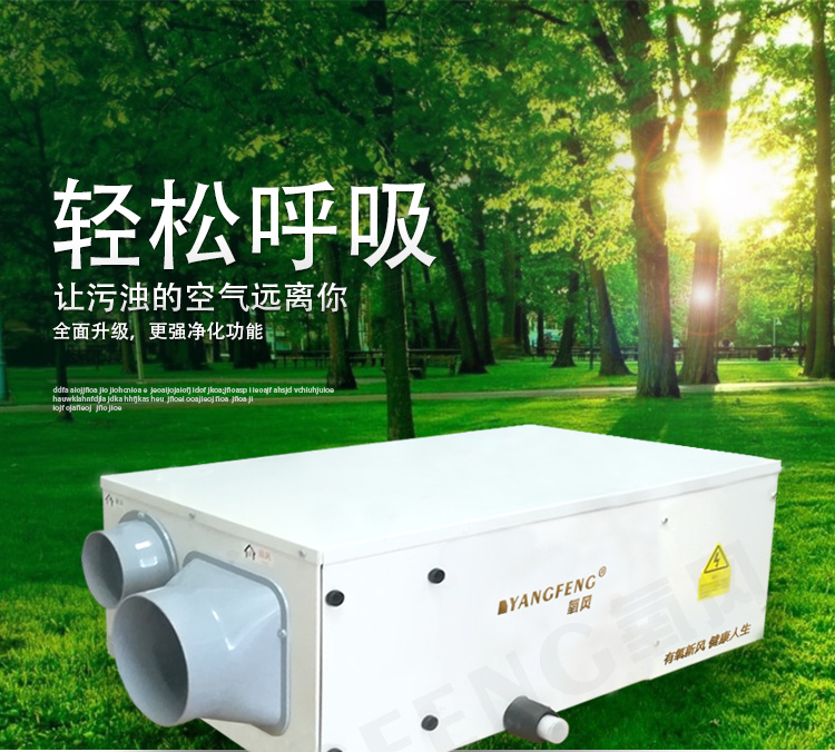 氧风新风除湿一体机中央新风除湿机新风系统吊顶管道式别墅地下室