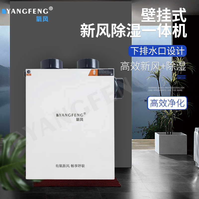 氧风家用别墅地下室壁挂式吊顶新风除湿一体机系统抽湿除湿防潮