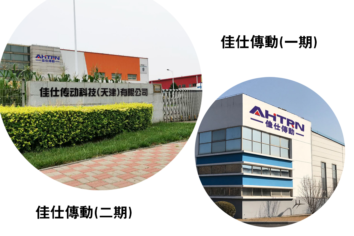 图片展示