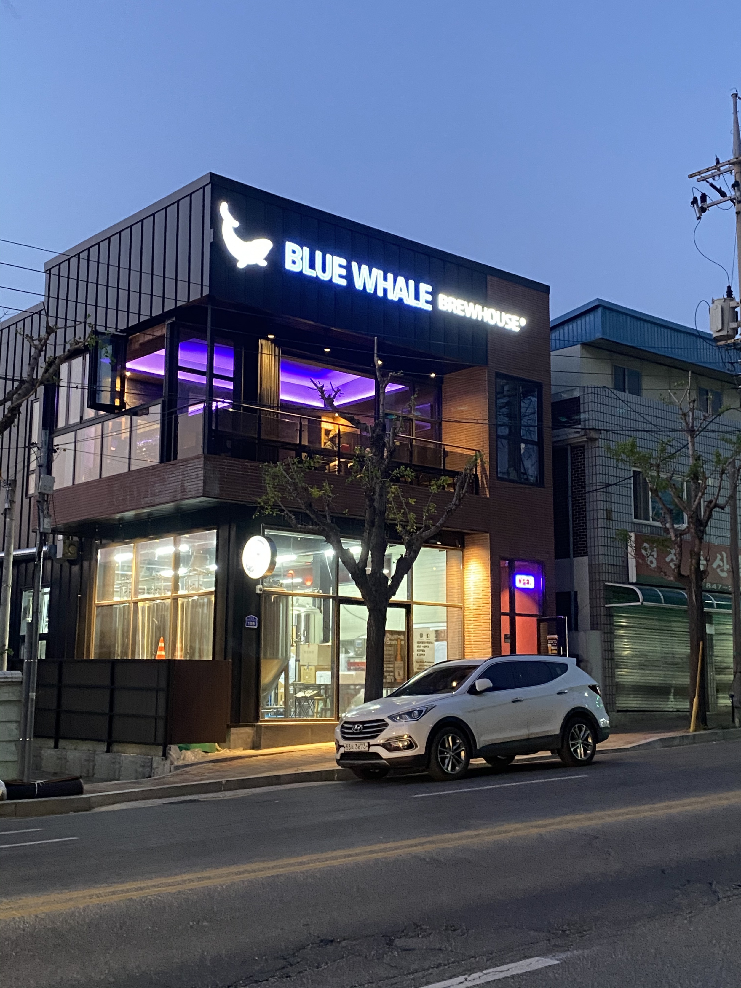 圖片展示